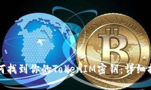 如何找到你的TokenIM密钥：详细指南