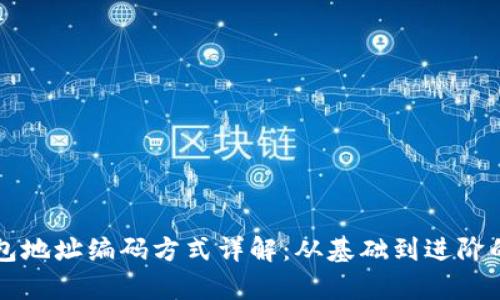 比特币钱包地址编码方式详解：从基础到进阶的全面解析