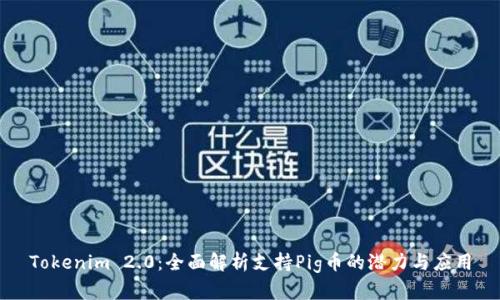 Tokenim 2.0：全面解析支持Pig币的潜力与应用