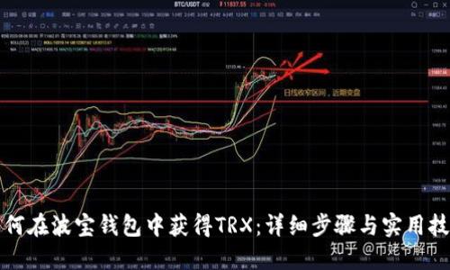 如何在波宝钱包中获得TRX：详细步骤与实用技巧