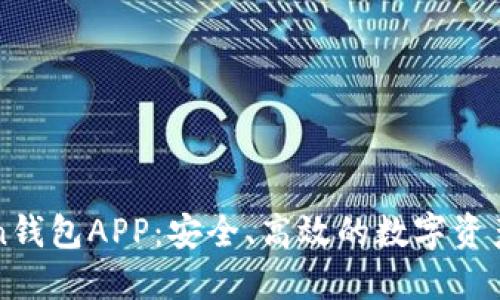 探索v-token钱包APP：安全、高效的数字资产管理新选择