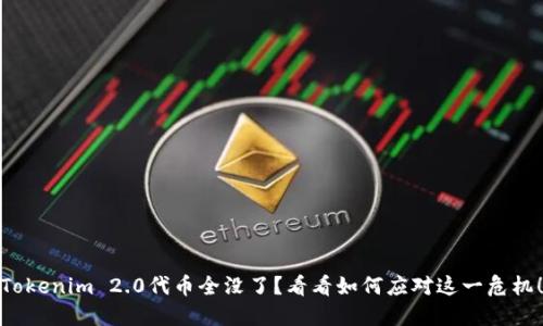 Tokenim 2.0代币全没了？看看如何应对这一危机！