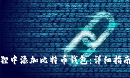 如何在小狐狸中添加比特币钱包：详细指南与实用技巧