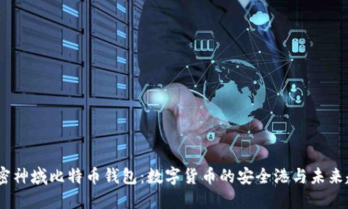:解密神域比特币钱包：数字货币的安全港与未来趋势