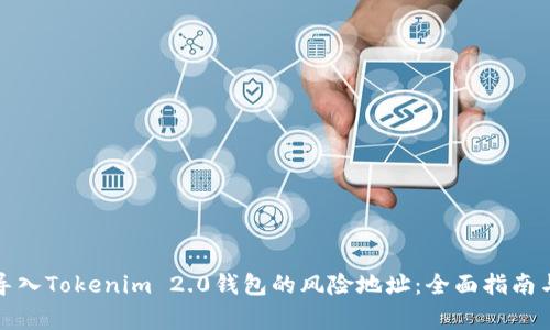 如何安全导入Tokenim 2.0钱包的风险地址：全面指南与注意事项