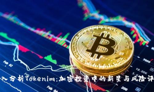 深入分析Tokenim：加密投资中的新星与风险评估