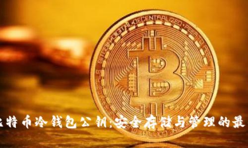 揭秘比特币冷钱包公钥：安全存储与管理的最佳实践