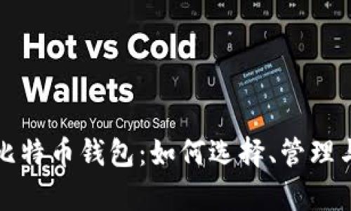 全面解析比特币钱包：如何选择、管理与安全保障
