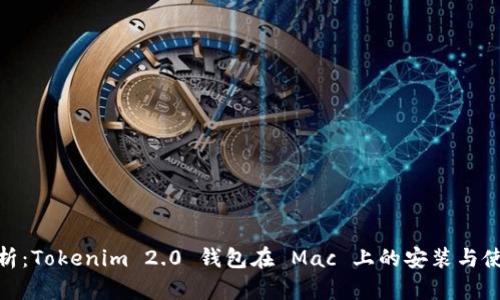 全面解析：Tokenim 2.0 钱包在 Mac 上的安装与使用体验
