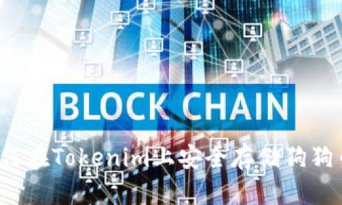 如何在Tokenim上安全存储狗狗币？