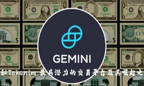 探秘Tokenim：最具潜力的交易平台及其崛起之路