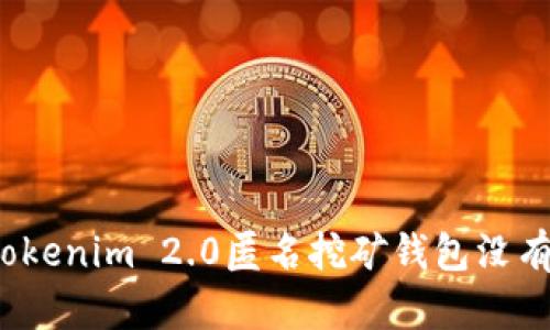 如何解决Tokenim 2.0匿名挖矿钱包没有币的问题？