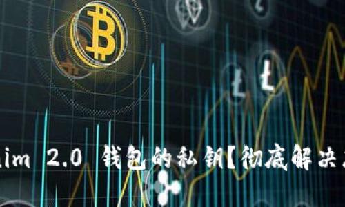 如何找回 Tokenim 2.0 钱包的私钥？彻底解决忘记私钥的烦恼！