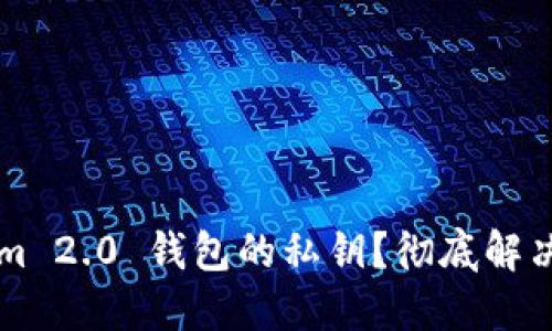 如何找回 Tokenim 2.0 钱包的私钥？彻底解决忘记私钥的烦恼！