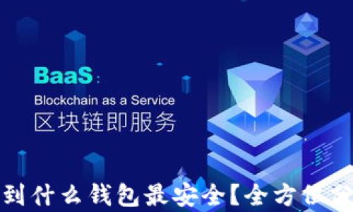 
MATIC转到什么钱包最安全？全方位分析与推荐