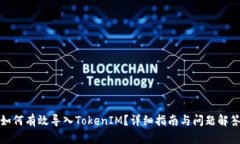 如何有效导入TokenIM？详细