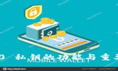Tokenim 2.0 私钥的功能与重