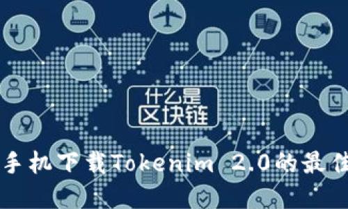 苹果手机下载Tokenim 2.0的最佳指南