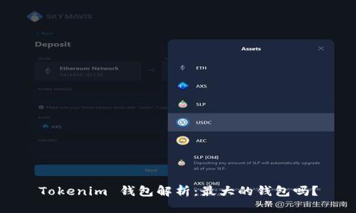 Tokenim 钱包解析：最大的钱包吗？