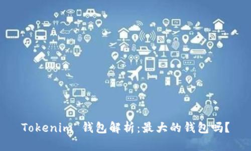 Tokenim 钱包解析：最大的钱包吗？
