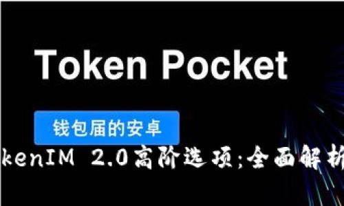 深入探讨TokenIM 2.0高阶选项：全面解析与应用指南