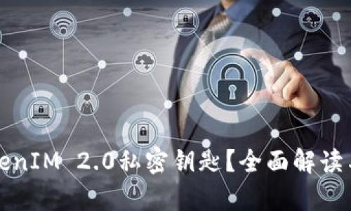 什么是TokenIM 2.0私密钥匙？全面解读与应用分析