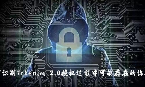 : 如何识别Tokenim 2.0授权过程中可能存在的诈骗网站