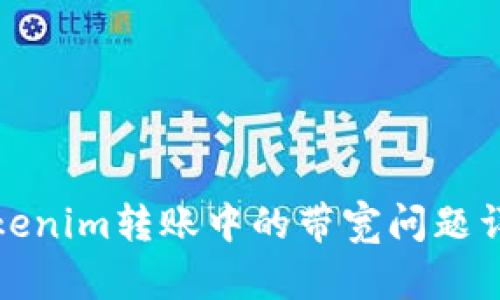 Tokenim转账中的带宽问题详解