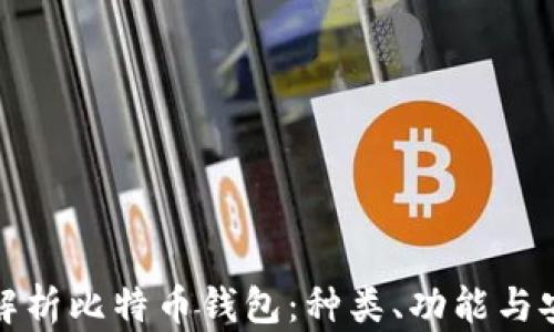
全面解析比特币钱包：种类、功能与安全性