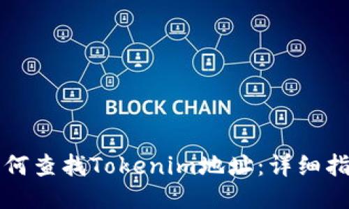 如何查找Tokenim地址：详细指南