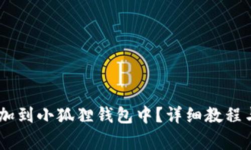 如何将USDT添加到小狐狸钱包中？详细教程与常见问题解答