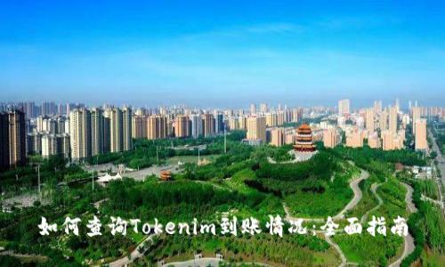 如何查询Tokenim到账情况：全面指南