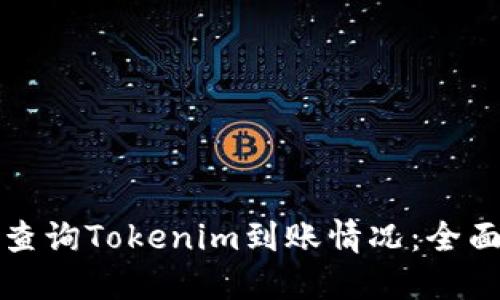 如何查询Tokenim到账情况：全面指南