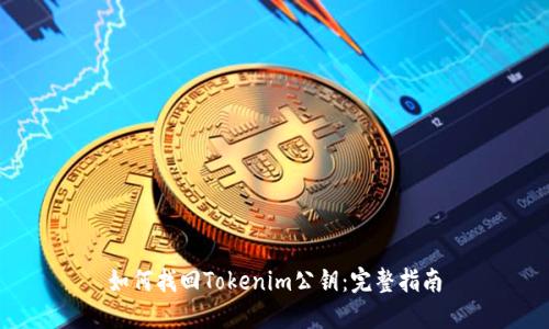 如何找回Tokenim公钥：完整指南