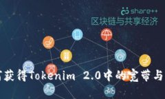 如何获得Tokenim 2.0中的宽带